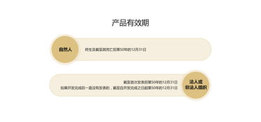 全面解析中國版權(quán)登記 流程、費用與專業(yè)代理服務(wù)指南